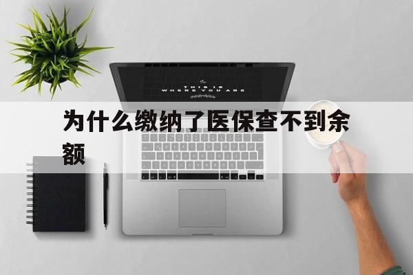 拉萨最新为什么缴纳了医保查不到余额方法分析(最方便真实的拉萨医保交了费怎么查不到方法)